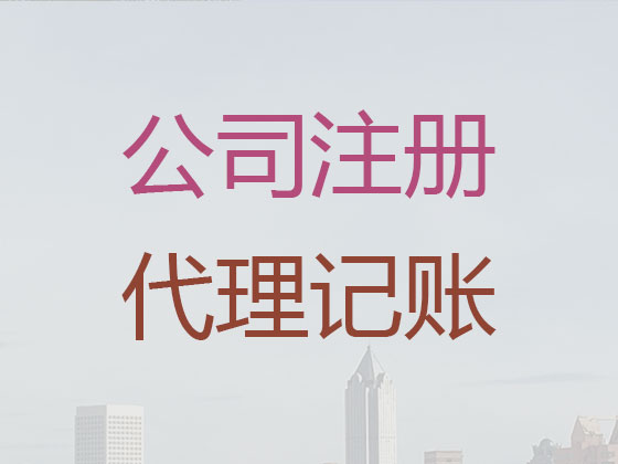 海南财务公司代理记账|子公司记账代理